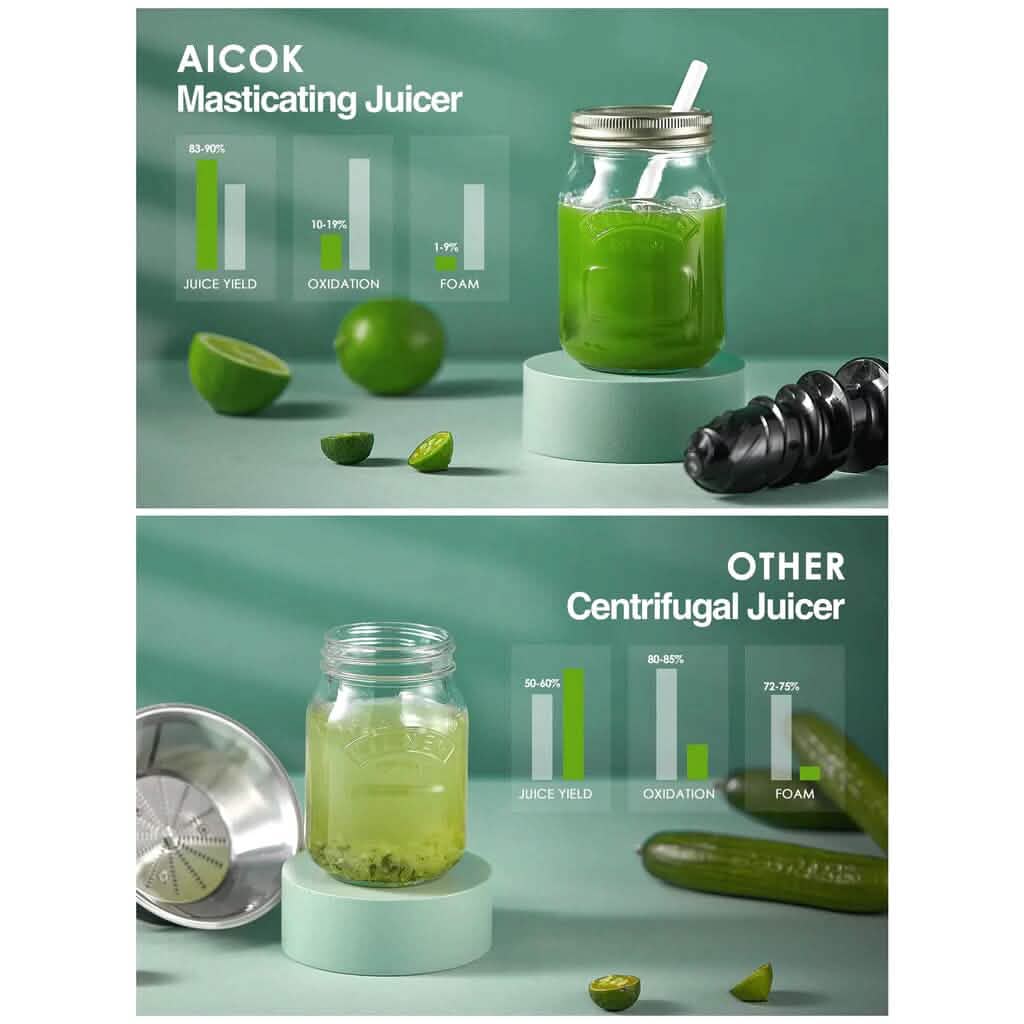Slow Masticating Juicer Extractor Cold Press Juicer with Brush